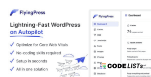FlyingPress WordPress Speed Optimization Plugin dashboard
